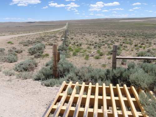 Big Gap Cattle Guards (aka Grids).